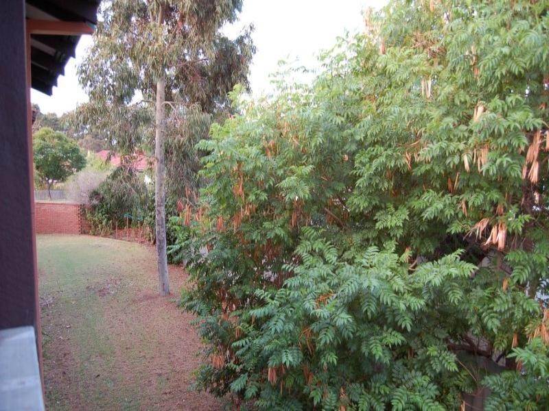 5/135 Hubert Street, East Victoria Park WA 6101