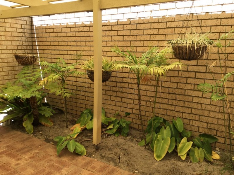 3/41 Leonora Street, Como WA 6152