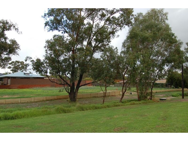 12 Barussela Avenue, Greenmount WA 6056