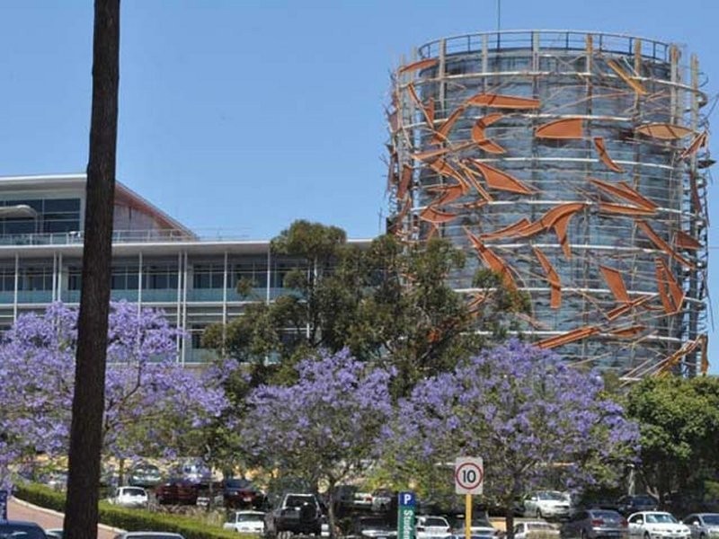 46 Alexandra Place, Bentley WA 6102