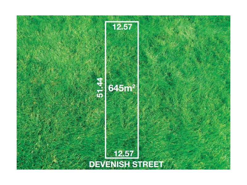 52 Devenish Street, East Victoria Park WA 6101