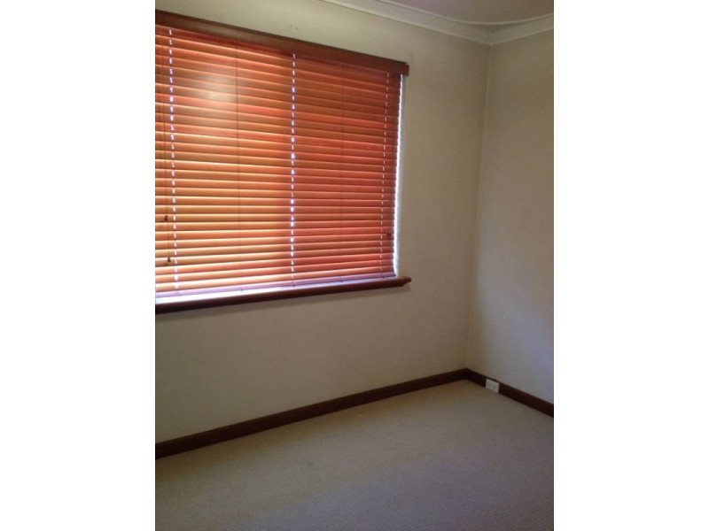 226 Orrong Road, Carlisle WA 6101