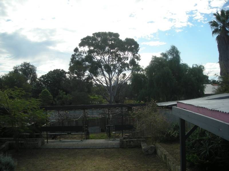 3 Nottingham Street, East Victoria Park WA 6101
