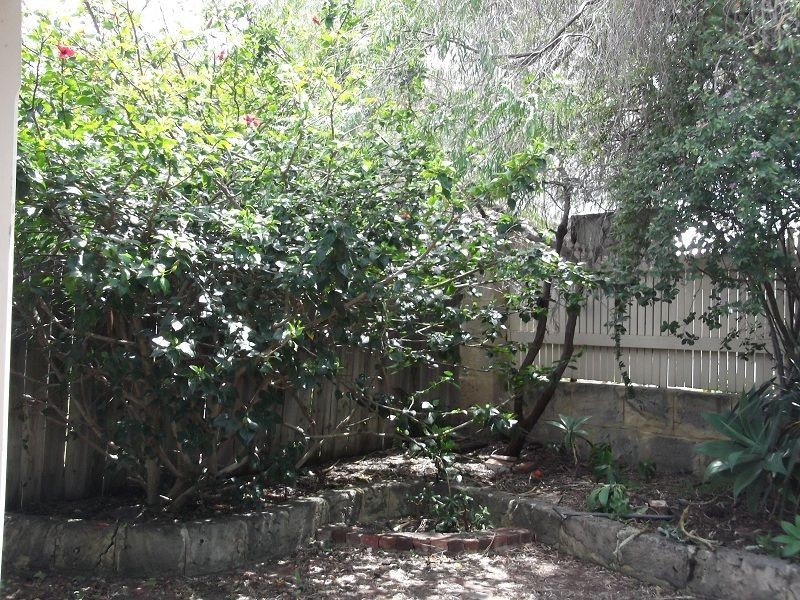 91 Hubert Street, East Victoria Park WA 6101