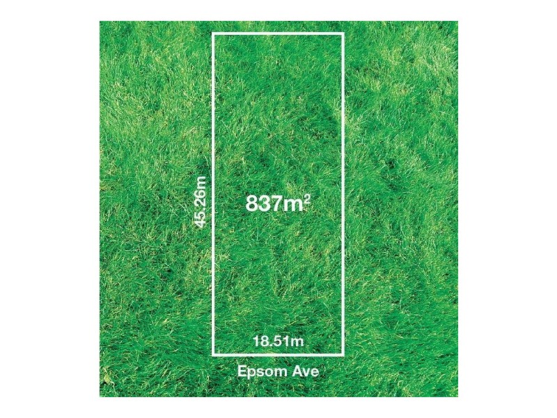 196 Epsom Ave, Belmont WA 6104