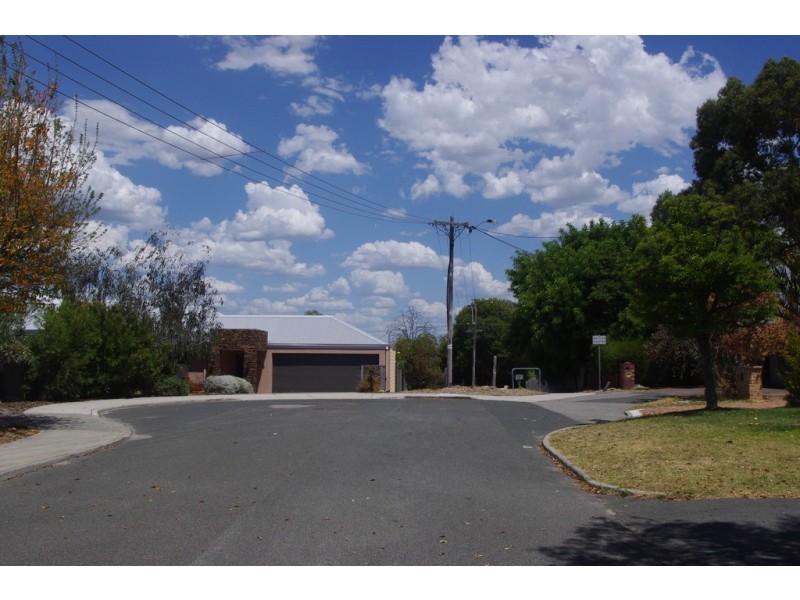 32 Paltridge Ave, Carlisle WA 6101