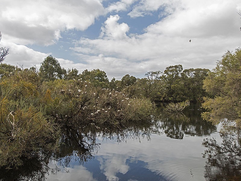 2/320 Acton Avenue, Kewdale WA 6105