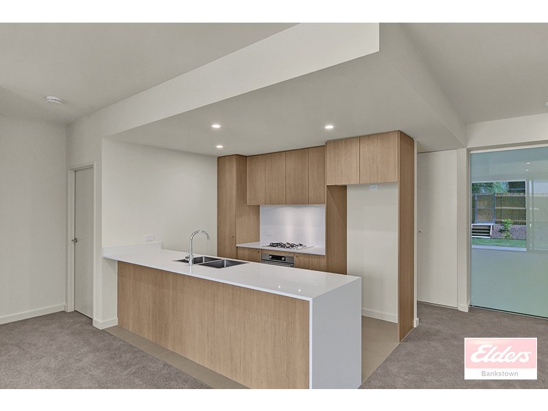 17 Hanna St, Potts Hill NSW 2143
