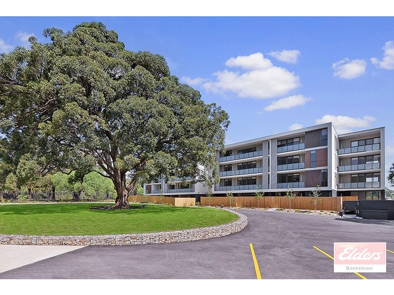 17 Hanna St, Potts Hill NSW 2143