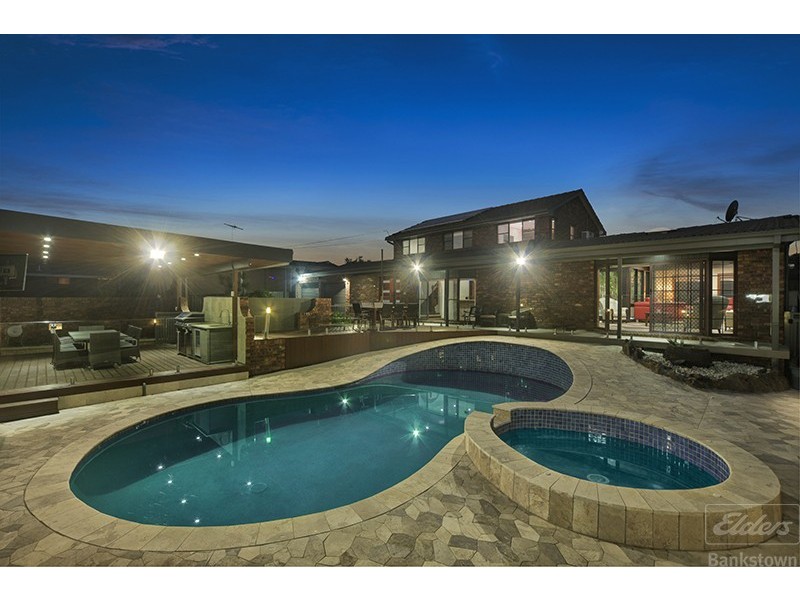 3 Salamander Place, Mount Lewis NSW 2190