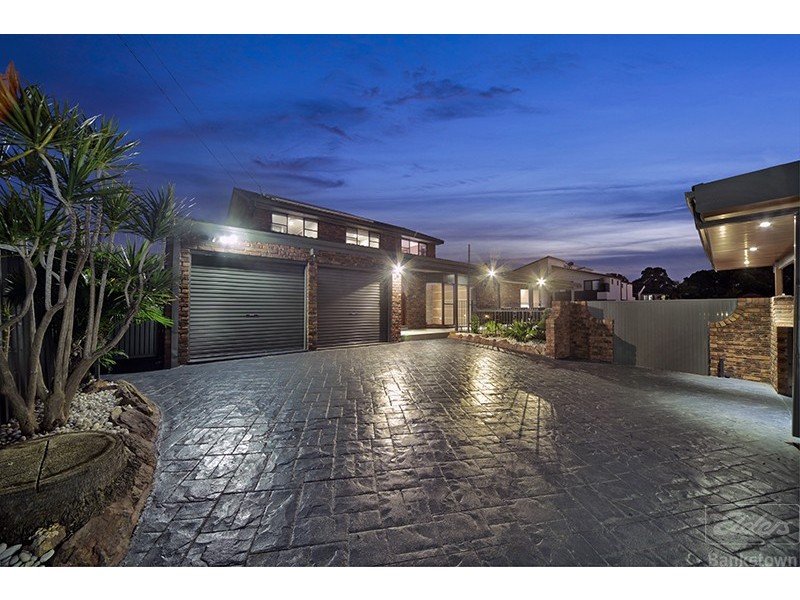 3 Salamander Place, Mount Lewis NSW 2190