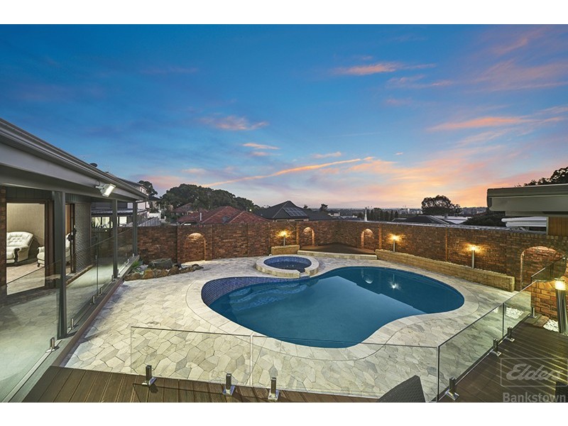 3 Salamander Place, Mount Lewis NSW 2190