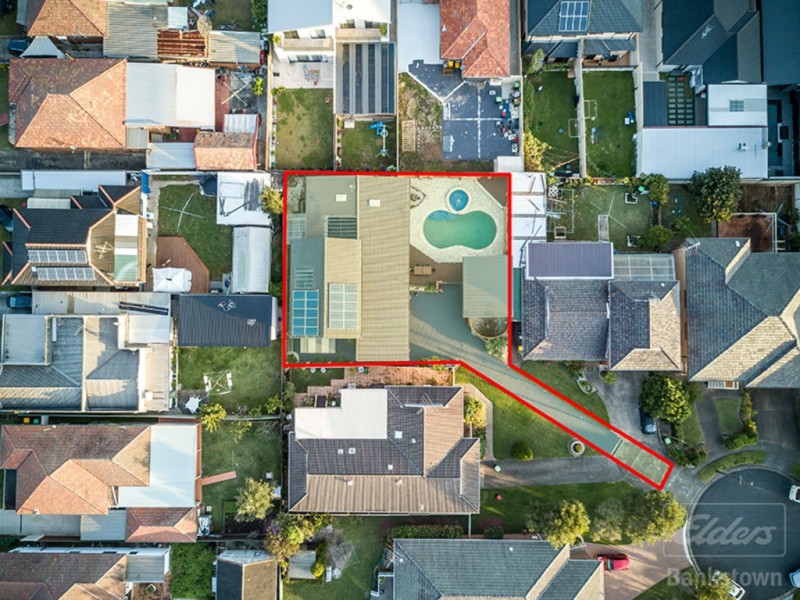 3 Salamander Place, Mount Lewis NSW 2190