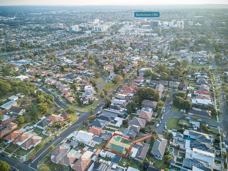 3 Salamander Place, Mount Lewis NSW 2190