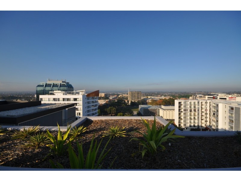 803/10-12 French Avenue, Bankstown NSW 2200