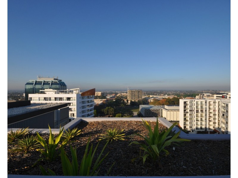 204/10-12 French Avenue, Bankstown NSW 2200