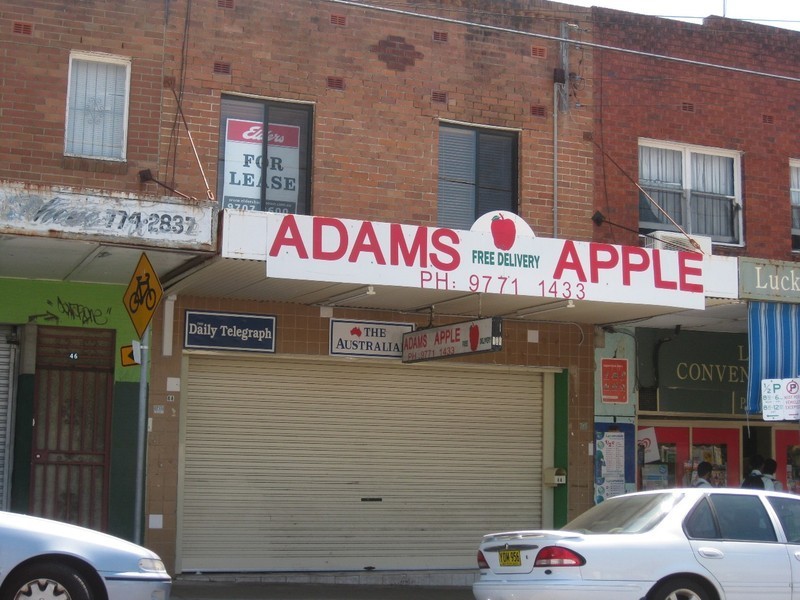 44 Anderson Avenue, Panania NSW 2213