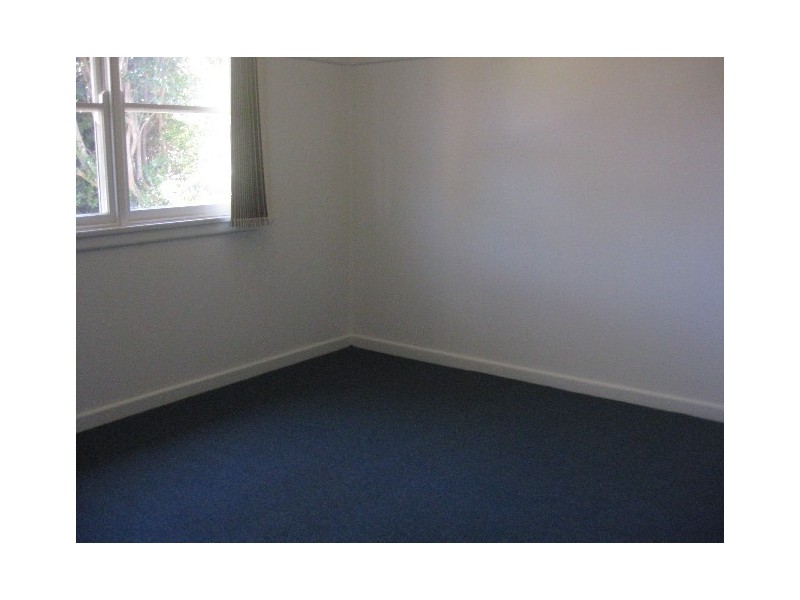 253 Wangee Road, Greenacre NSW 2190