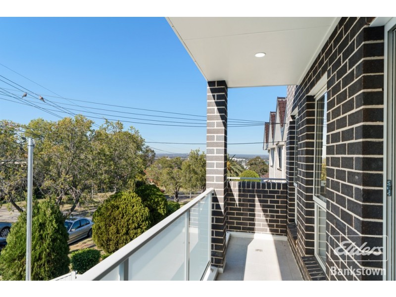 17 Saric Avenue, Georges Hall NSW 2198