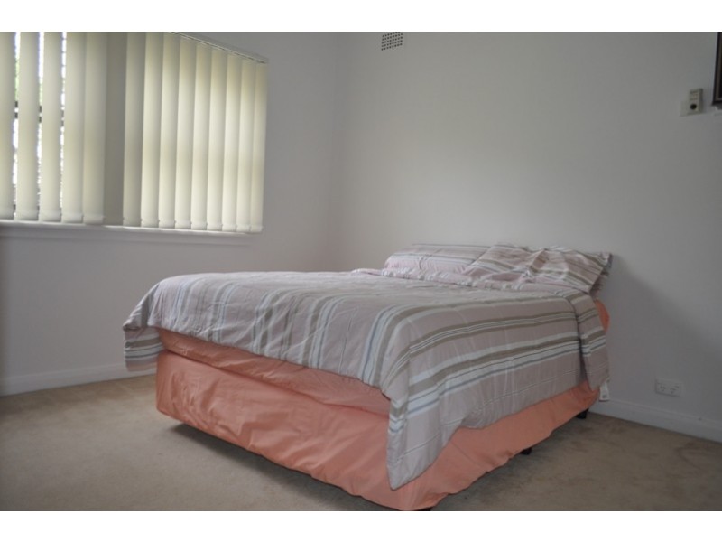 17 Sixth Avenue, Condell Park NSW 2200