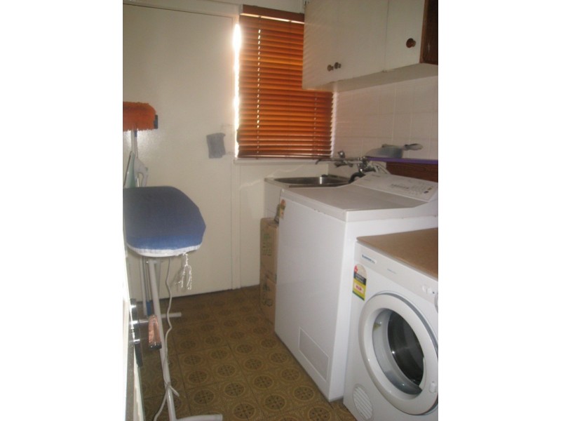 58 Napoli Street, Padstow NSW 2211