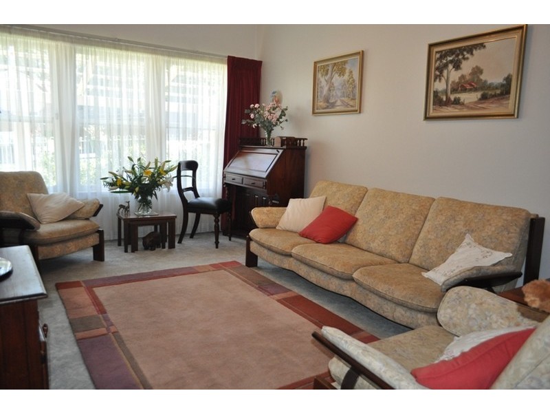 17  Harold Street, Mount Lewis NSW 2200