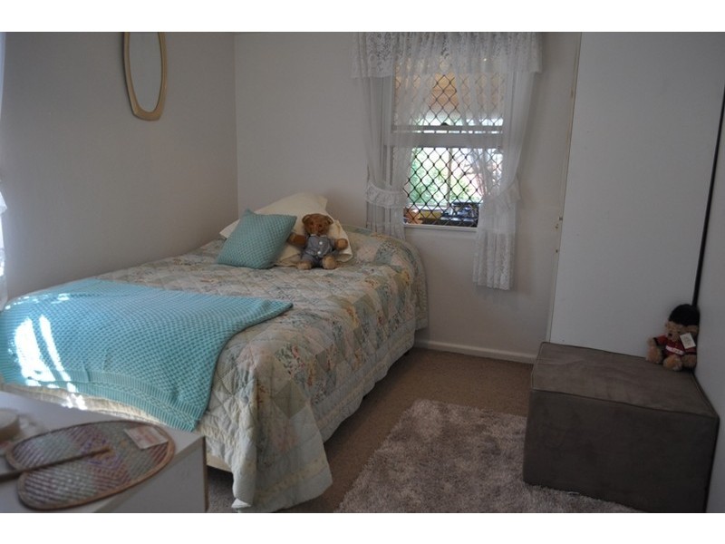 17  Harold Street, Mount Lewis NSW 2200