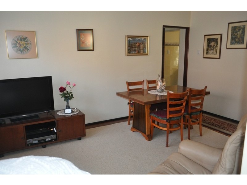 45 Mount Lewis Avenue, Punchbowl NSW 2196