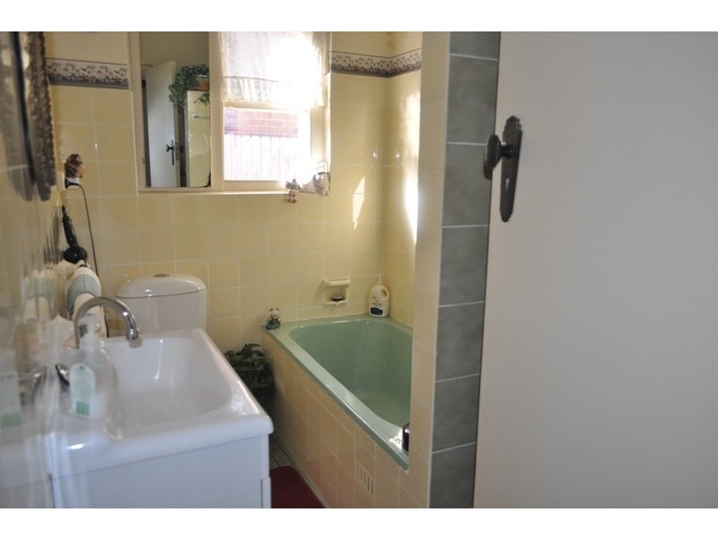 45 Mount Lewis Avenue, Punchbowl NSW 2196