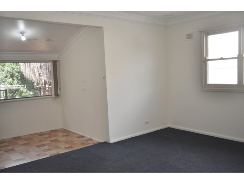 253 Wangee Road, Greenacre NSW 2190