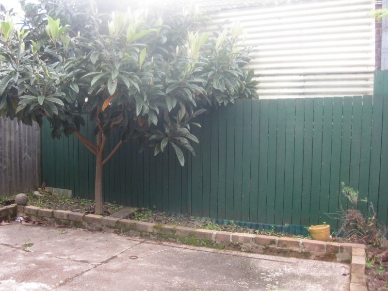 68 Old Canterbury Road, Lewisham NSW 2049