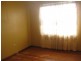 49 Wilkins Street, Bankstown NSW 2200