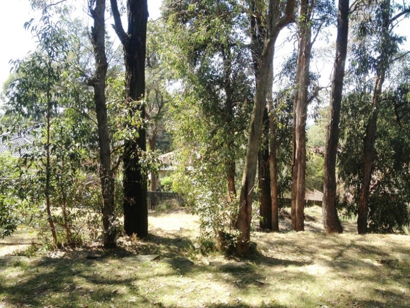 71 Fenwick Street, Bankstown NSW 2200