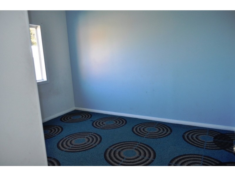 82 Simmat Avenue, Condell Park NSW 2200