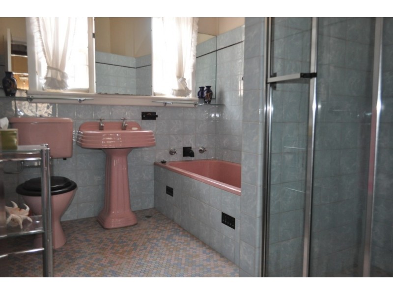 113 Ashby Avenue, Yagoona NSW 2199