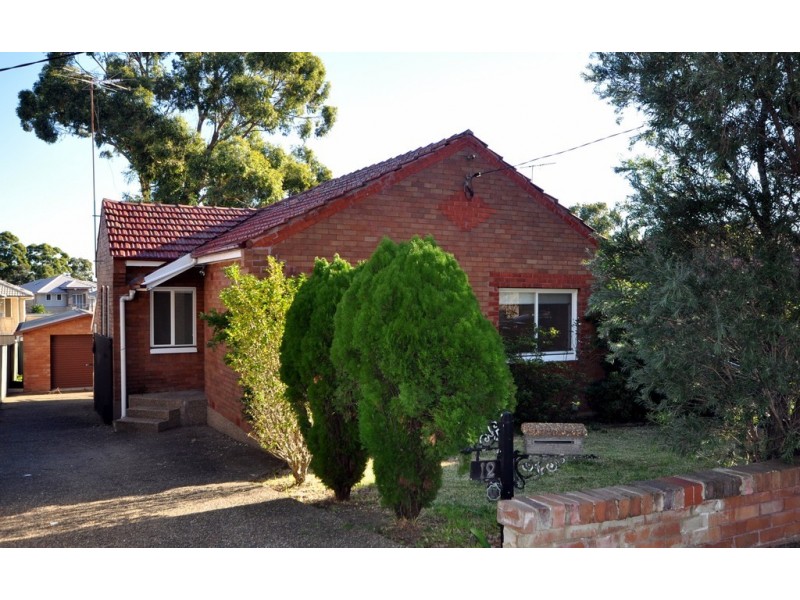 12 Carrisbrook Avenue, Punchbowl NSW 2196