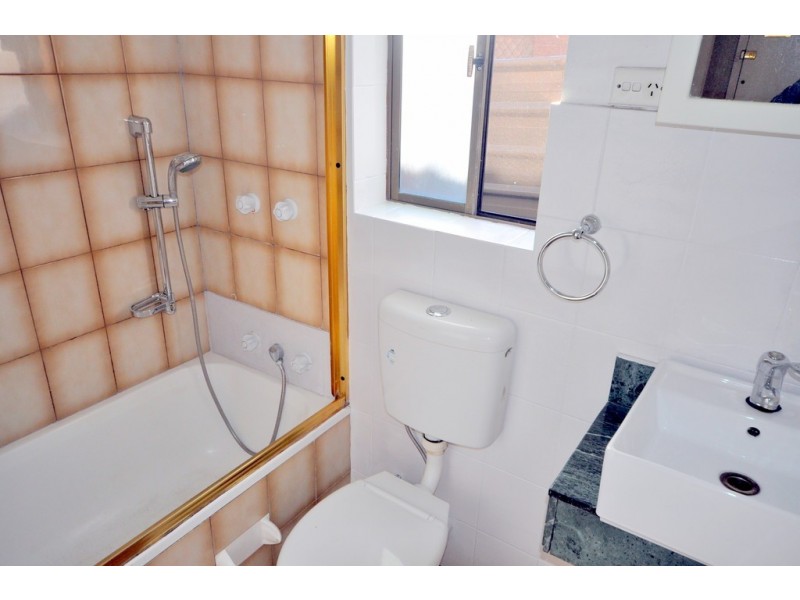 12 Carrisbrook Avenue, Punchbowl NSW 2196