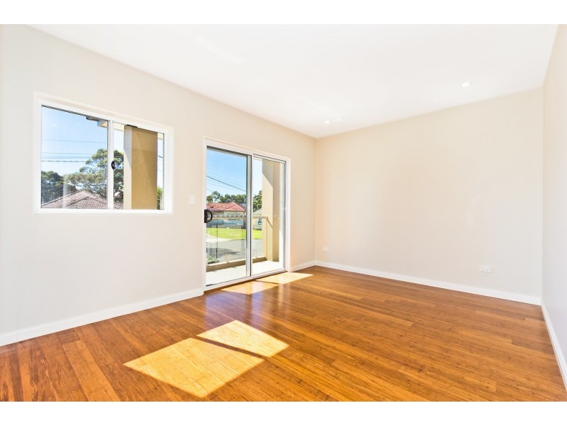 4A Elke Crescent, Chester Hill NSW 2162