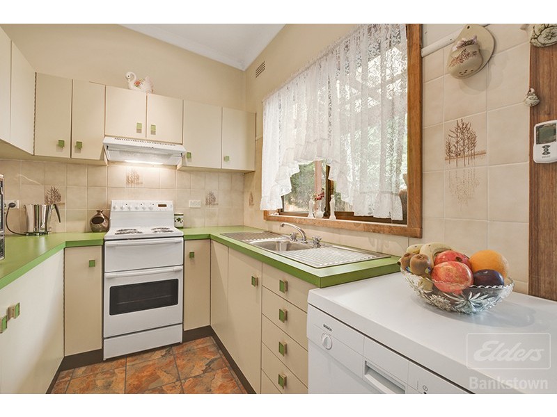 51 Yanderra Street, Condell Park NSW 2200