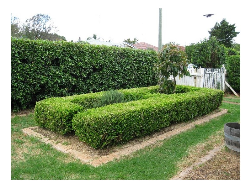 194 Campbell Street, Newtown QLD 4350