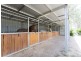 1280 Murphys Creek Road, Murphys Creek QLD 4352