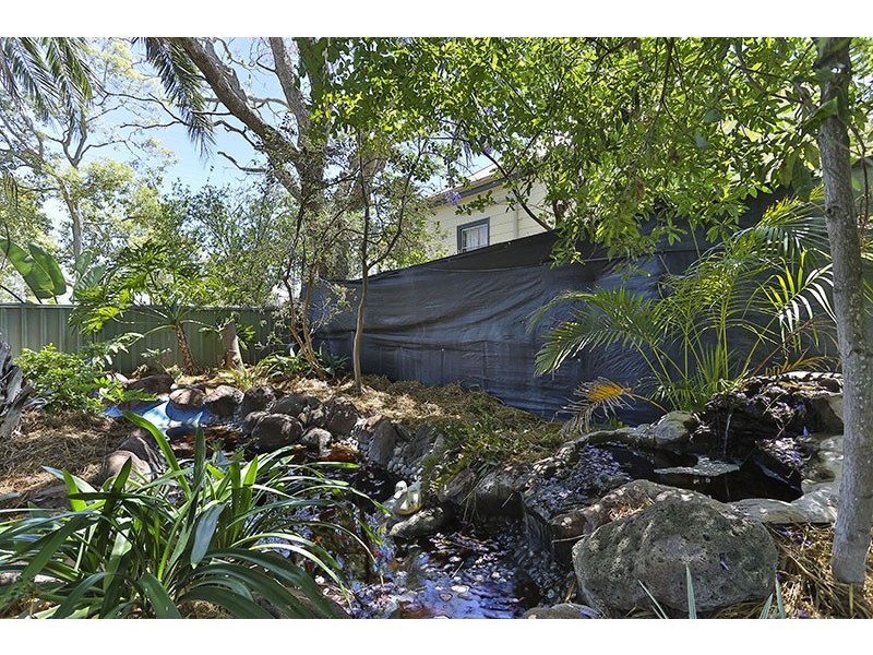 38 Briggs Street, Pittsworth QLD 4356