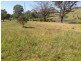 45 Tranter Street, Top Camp QLD 4350
