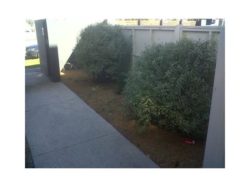 Elsternwick VIC 3185