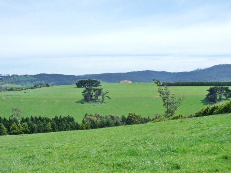 Neerim South VIC 3831