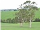 Neerim South VIC 3831
