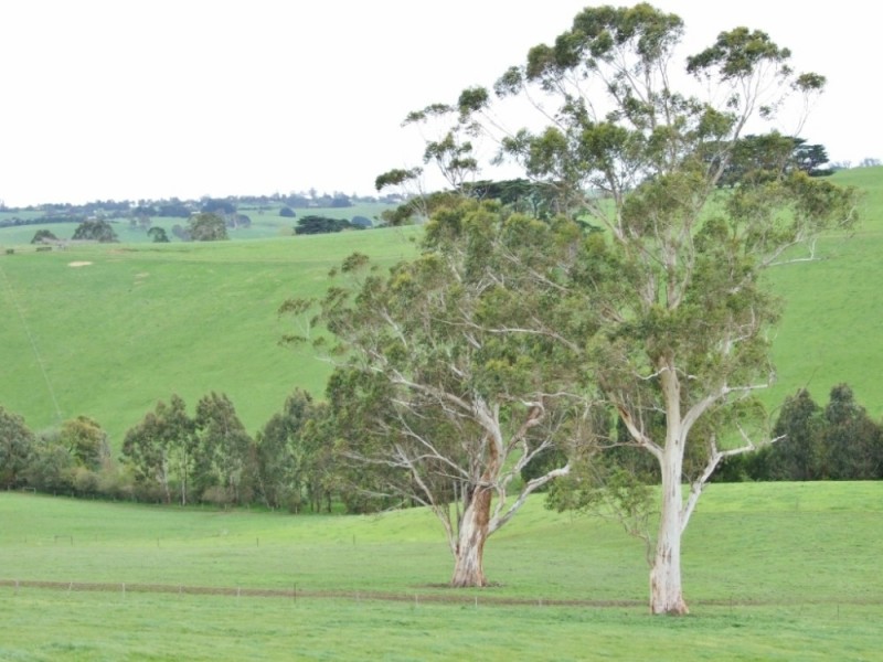 Neerim South VIC 3831