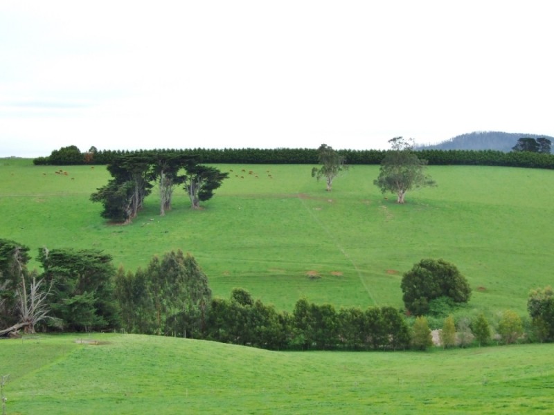 Neerim South VIC 3831