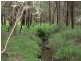 Neerim South VIC 3831