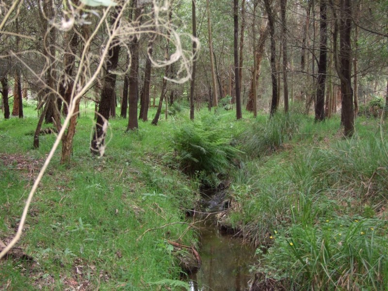 Neerim South VIC 3831